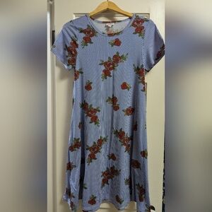 LuLaRoe Blue "Ciara" Pinstripe print dress WITH pockets!